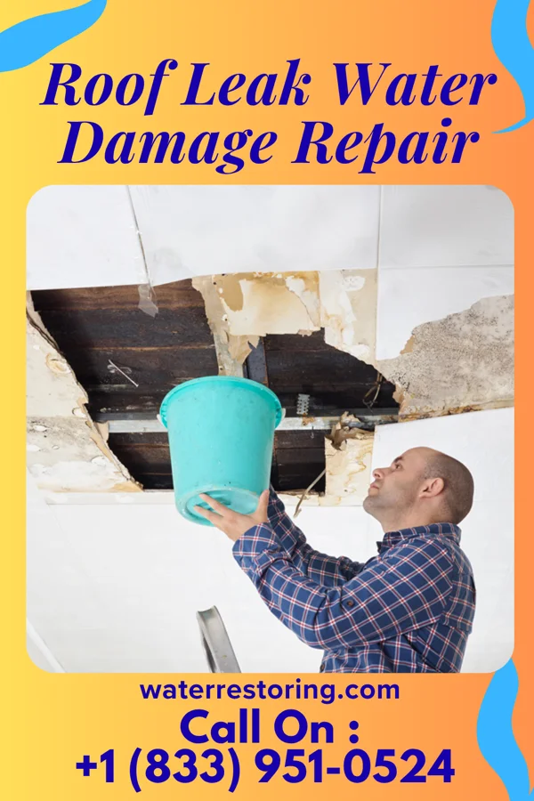 Roof Leak Water Damage Repair in Ogdensburg, WI