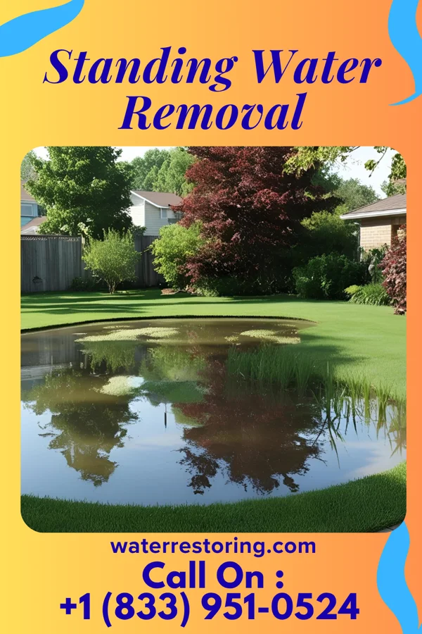 Standing Water Removal in Ogdensburg, WI